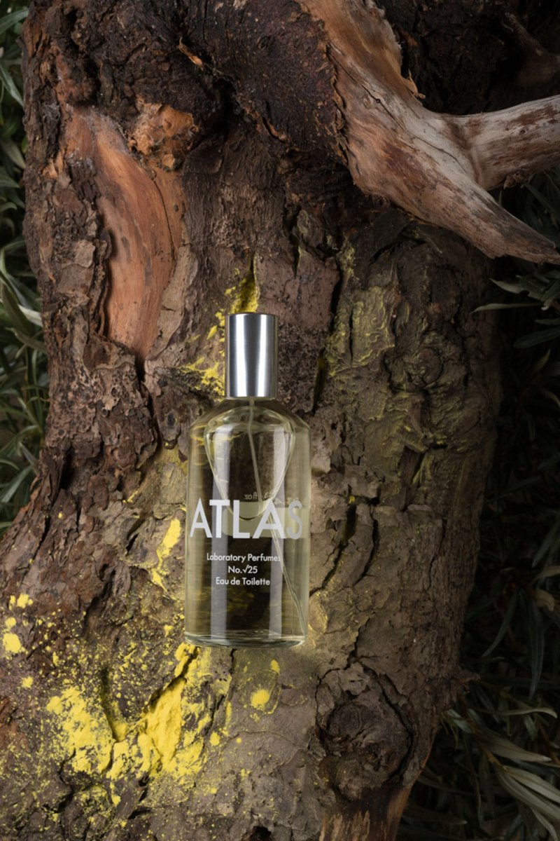 Laboratory Perfumes Atlas Eau de Toilette | Fragrance